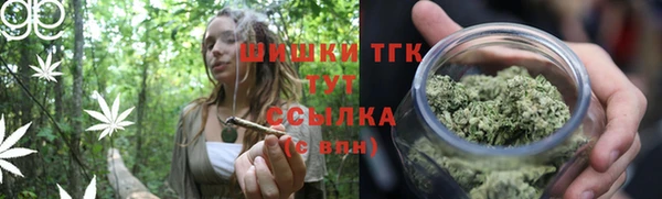 ГАЛЛЮЦИНОГЕННЫЕ ГРИБЫ Алексин