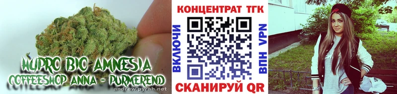 Купить где  Ростов  ТГК концентрат 